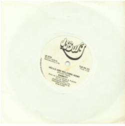 Rabbitt : Hello and Welcome Home - Teenage Love (Getting Thru to You)